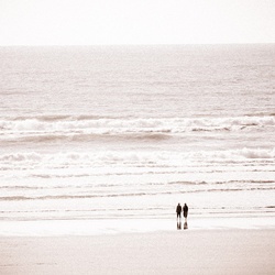 dailyPhoto38