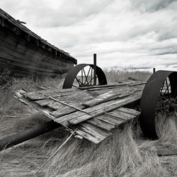 dailyPhoto21
