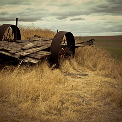 dailyPhoto38