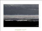 dailyPhoto5