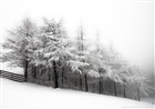 dailyPhoto6