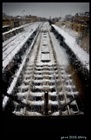 dailyPhoto6