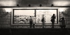 dailyPhoto14
