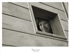 dailyPhoto3
