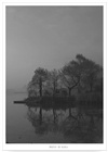 dailyPhoto32
