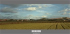 dailyPhoto38