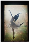 dailyPhoto1