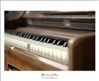 dailyPhoto12