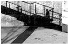 dailyPhoto9