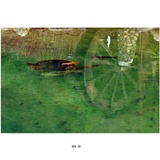 dailyPhoto7