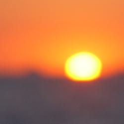 dailyPhoto36