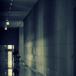 dailyPhoto34
