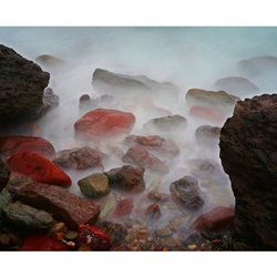 dailyPhoto3