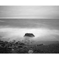 dailyPhoto19