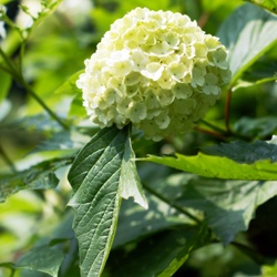dailyPhoto8