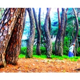 dailyPhoto2