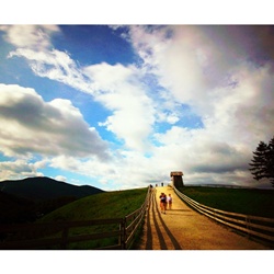 dailyPhoto12