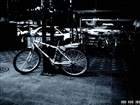 dailyPhoto6