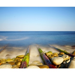 dailyPhoto11