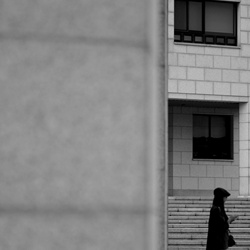 dailyPhoto12