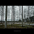 dailyPhoto4