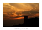 dailyPhoto20