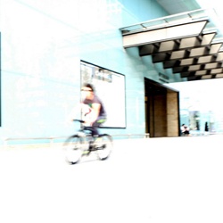 dailyPhoto29