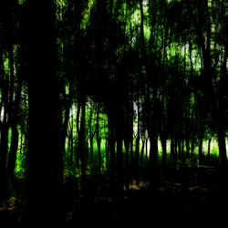 dailyPhoto1