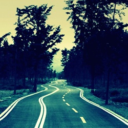dailyPhoto4