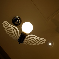 dailyPhoto5