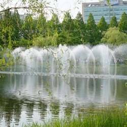 dailyPhoto11