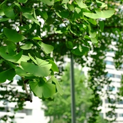 dailyPhoto11