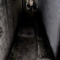 dailyPhoto28