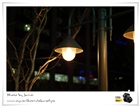 dailyPhoto38