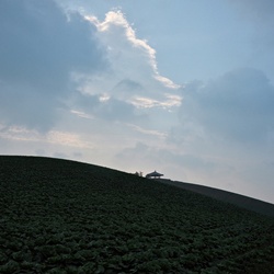 dailyPhoto14