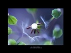 dailyPhoto30