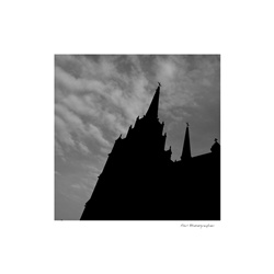 dailyPhoto19