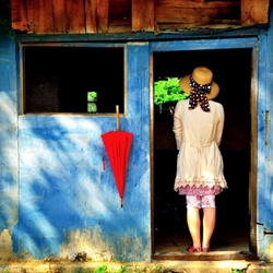 dailyPhoto11