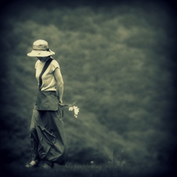 dailyPhoto40