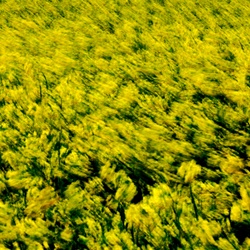 dailyPhoto25