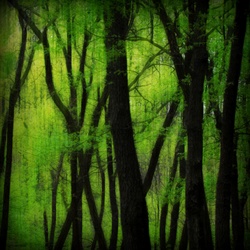 dailyPhoto39