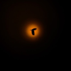 dailyPhoto4