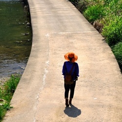dailyPhoto1