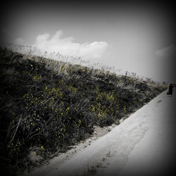 dailyPhoto2