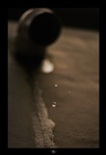 dailyPhoto1