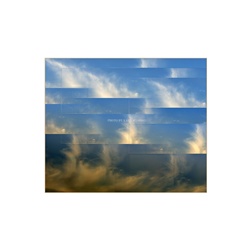 dailyPhoto9