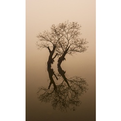 dailyPhoto31