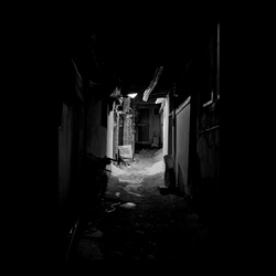 dailyPhoto17