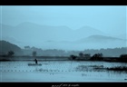 dailyPhoto34