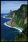 dailyPhoto9